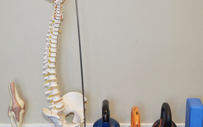 The Physio’s Exercise Guide for Perimenopause & Menopause