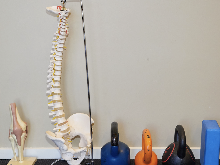 The Physio’s Exercise Guide for Perimenopause & Menopause